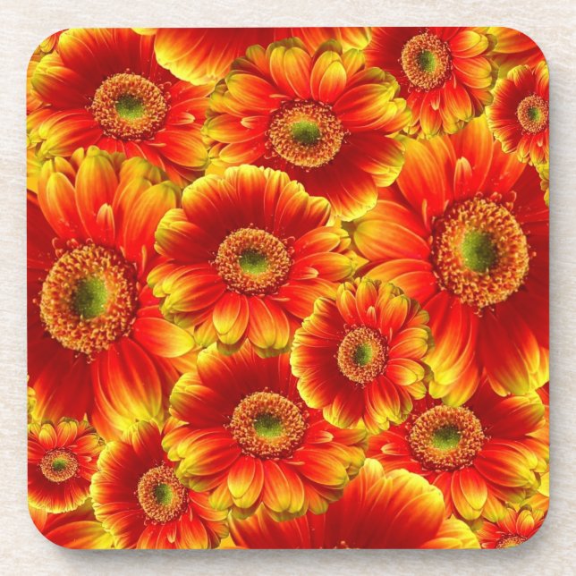Yellow and Orange Gerbera Daisies Coaster (Front)