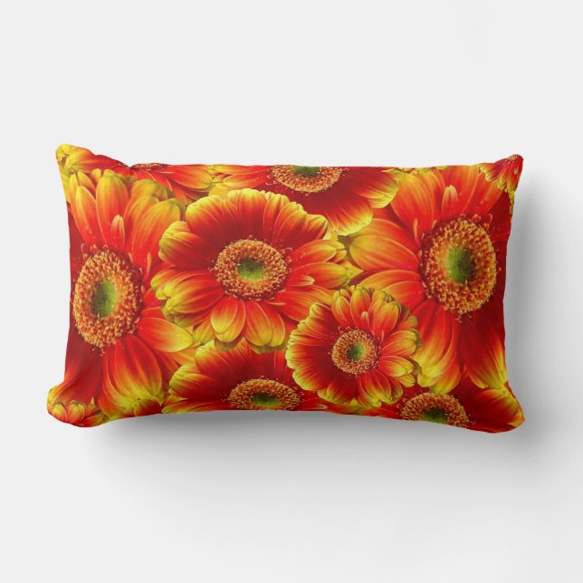 Yellow and Orange Gerbera Daisies Lumbar Cushion (Front)