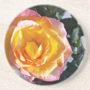 yellow and pink coaster