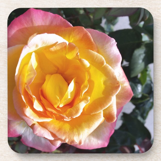 yellow and pink coaster (Front)