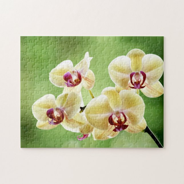Yellow and Pink Orchid Floral Jigsaw Puzzle (Horizontal)