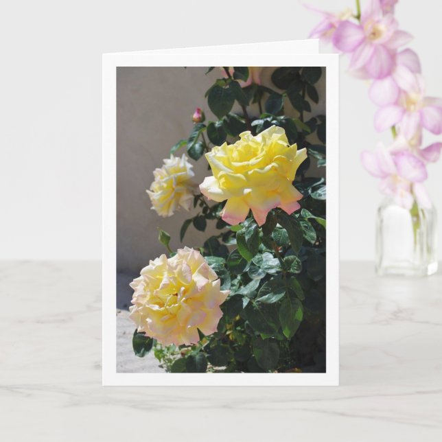 Yellow and Pink Roses Portrait Card (Orchid)