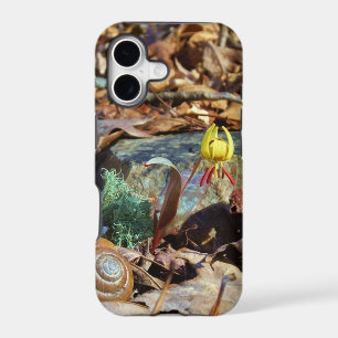 Yellow and Plum Trout Lily and Snail Shell