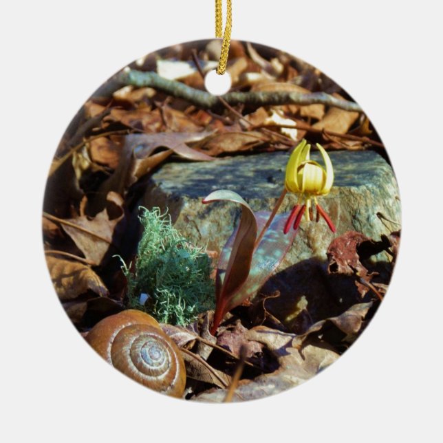 Yellow and Plum Trout Lily and Snail Shell Ceramic Tree Decoration (Front)