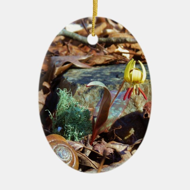 Yellow and Plum Trout Lily and Snail Shell Ceramic Tree Decoration (Front)