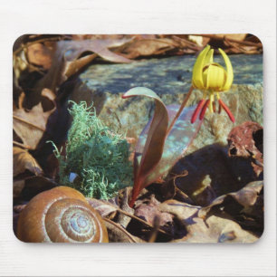 Yellow and Plum Trout Lily and Snail Shell Mouse Mat