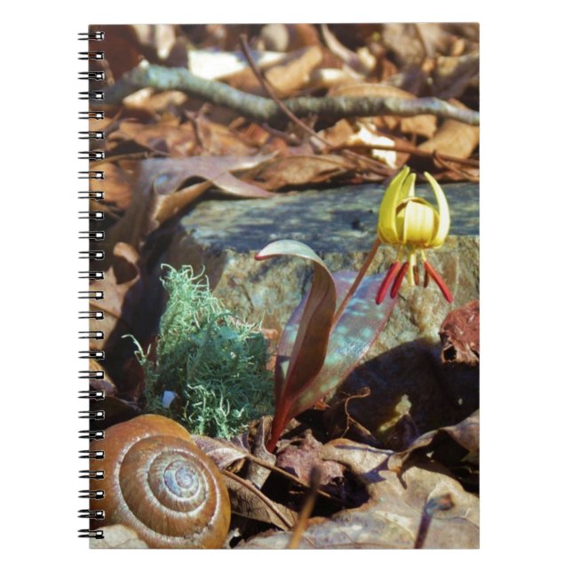 Yellow and Plum Trout Lily and Snail Shell Notebook (Front)