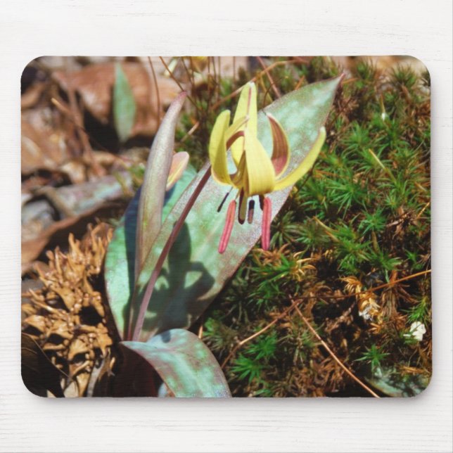 Yellow and Plum Trout Lily Mouse Mat (Front)