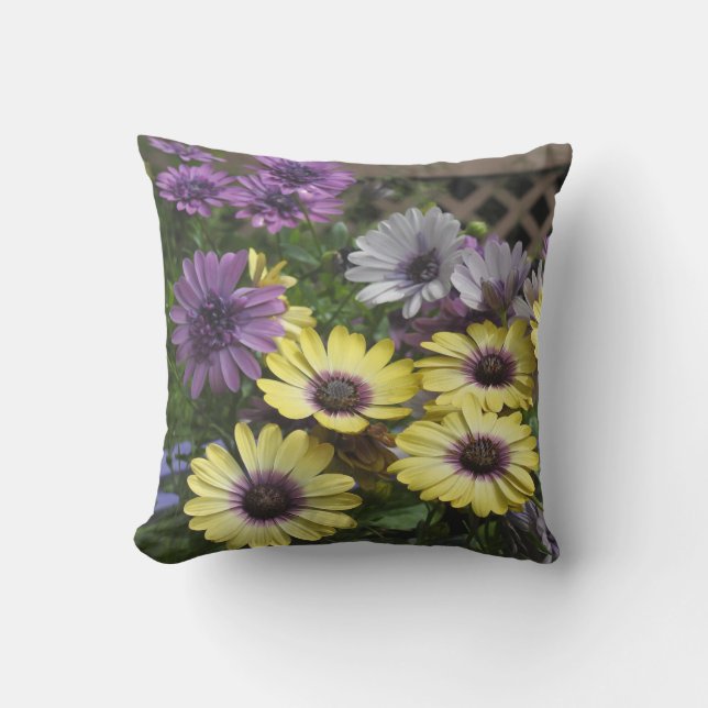 Yellow and Purple African Daisies OutDoor Pillow (Front)