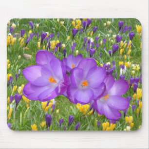 Yellow and Purple Crocuses Mouse Pad