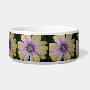 Yellow and Purple Daisy Flower