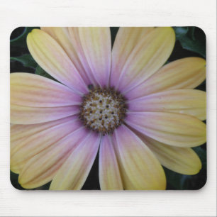 Yellow and Purple Daisy Flower Mouse Mat