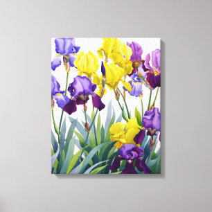 Yellow and Purple Irises Canvas Print