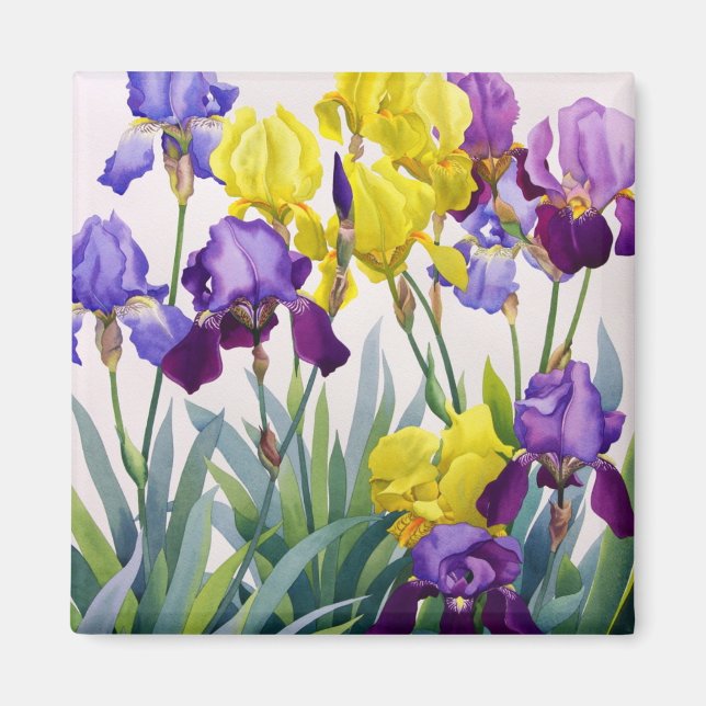 Yellow and Purple Irises Magnet (Front)