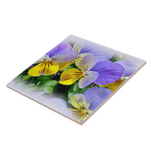 Yellow and Purple Pansies Tile