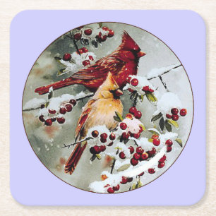 Yellow and Red Cardinals Square Paper Coaster