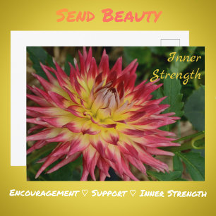Yellow and Red Dahlia Flower Botanical Floral Postcard
