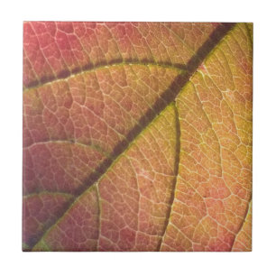 Yellow And Red Fall Leaf  Tile