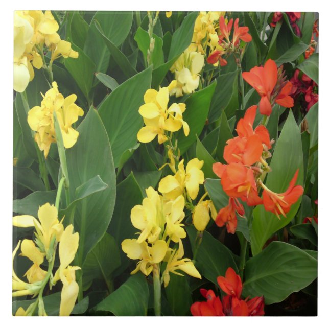 Yellow and Red Flowers Tile (Front)