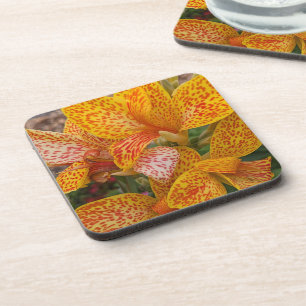 Yellow and Red Speckled Canna Lily Floral Coaster