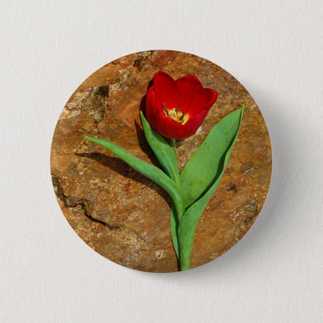 Yellow and Red Tulip 6 Cm Round Badge (Front)