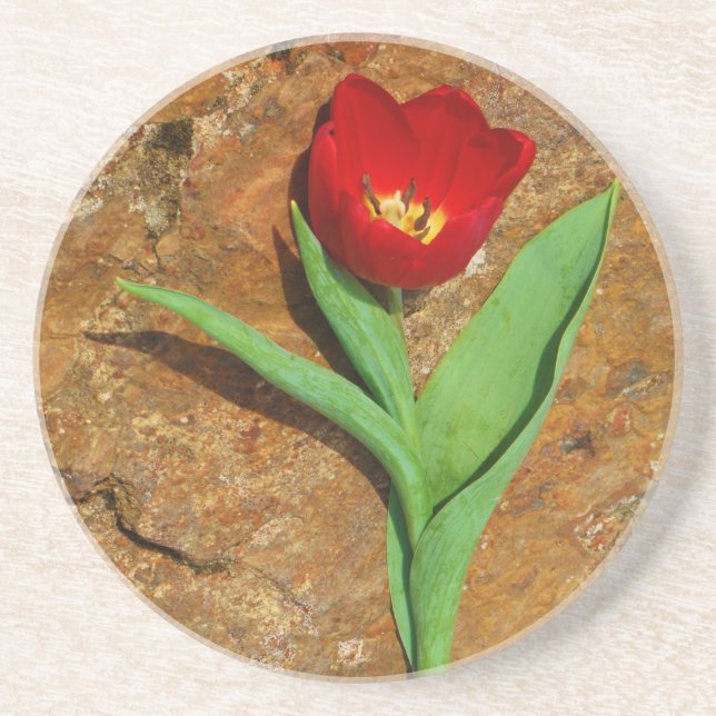 Yellow and Red Tulip Coaster (Front)