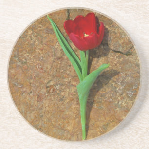 yellow and Red Tulip Coaster