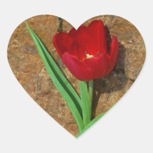 yellow and Red Tulip Heart Sticker