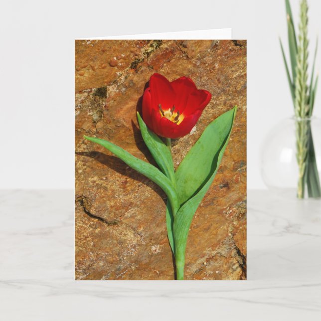 Yellow and Red Tulip Holiday Card (Front)