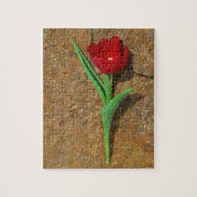 yellow and Red Tulip Jigsaw Puzzle (Vertical)