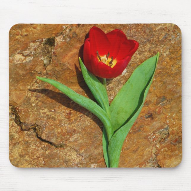 Yellow and Red Tulip Mouse Mat (Front)