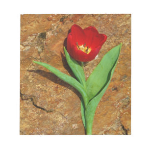 Yellow and Red Tulip Notepad