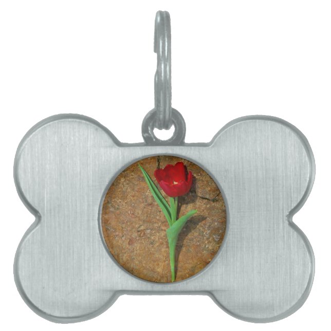 yellow and Red Tulip Pet ID Tag (Front)