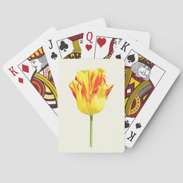 Yellow and red tulip playing cards (Back)