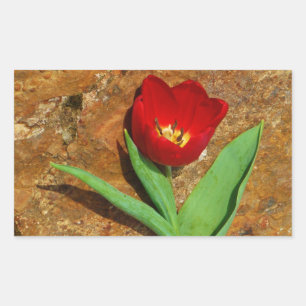 Yellow and Red Tulip Rectangular Sticker
