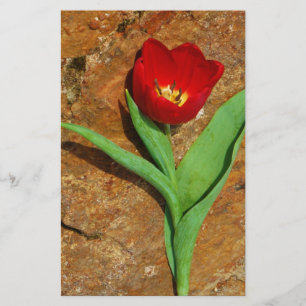 Yellow and Red Tulip Stationery