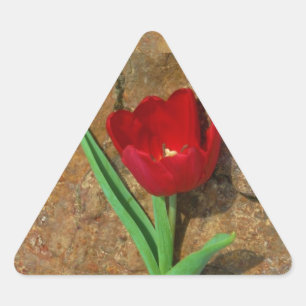yellow and Red Tulip Triangle Sticker