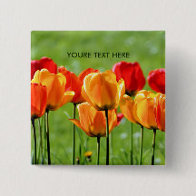Yellow And Red Tulips
