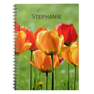 Yellow And Red Tulips Notebook