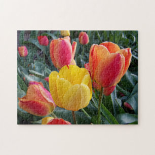 Yellow and Red Tulips Rock Garden Photo Jigsaw Puzzle
