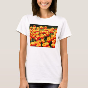 Yellow and red tulips T-Shirt