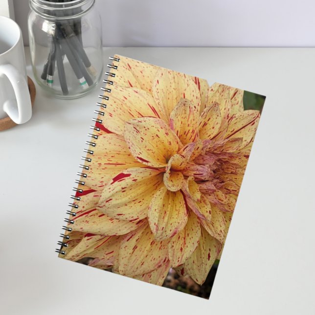 Yellow and Red Variegated Dahlia Floral Notebook (In Situ)