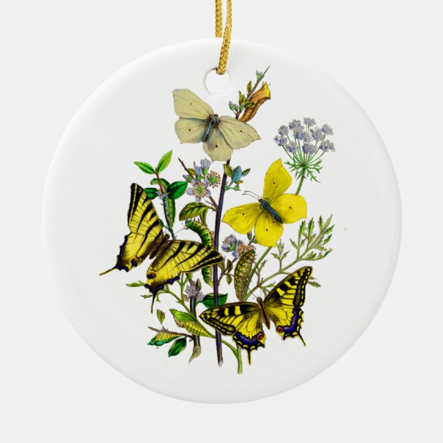 Yellow and Swallowtail Butterflies Ceramic Tree Decoration (Front)