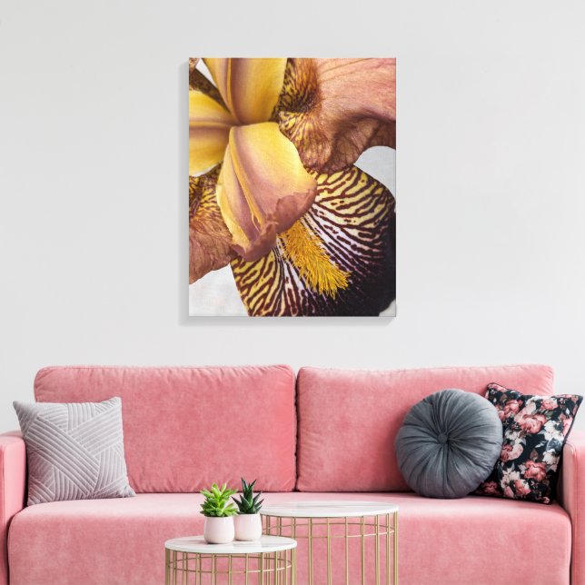 Yellow and Violet Bearded Iris Floral Canvas Print (Insitu(LivingRoom))