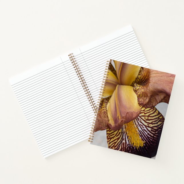 Yellow and Violet Bearded Iris Floral Notebook (Inside)