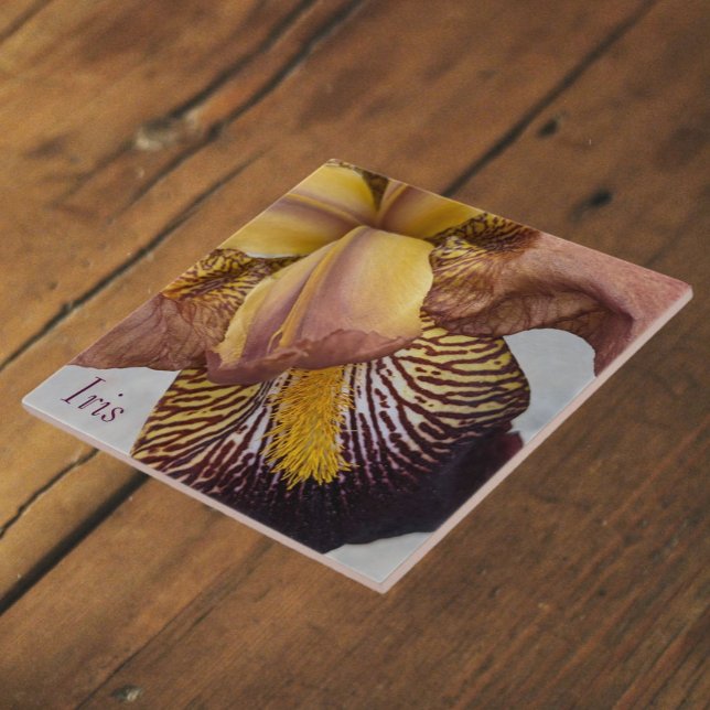 Yellow and Violet Beardless Iris Floral Tile (In Situ)