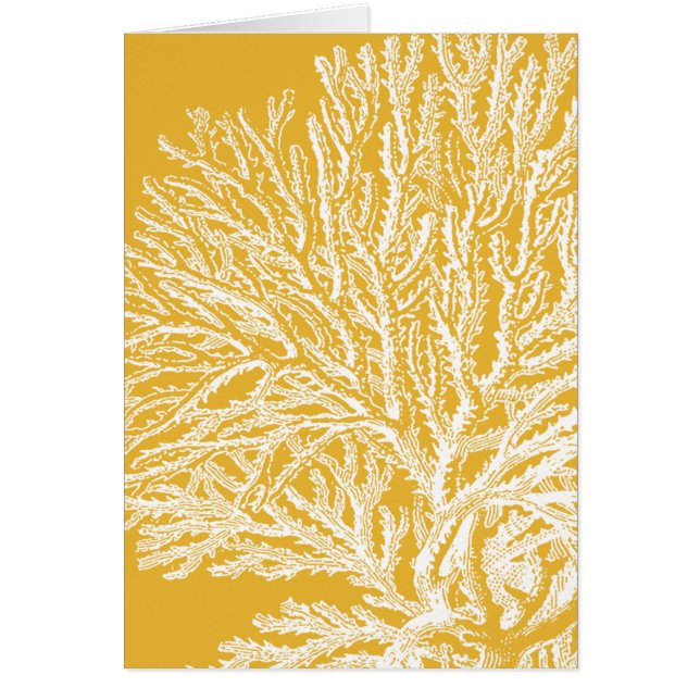 Yellow and White Coral (Front)