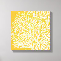 Yellow and White Coral
