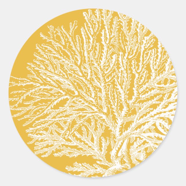 Yellow and White Coral Classic Round Sticker (Front)