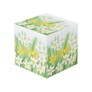 Yellow and White Daffodils in Spring Cube